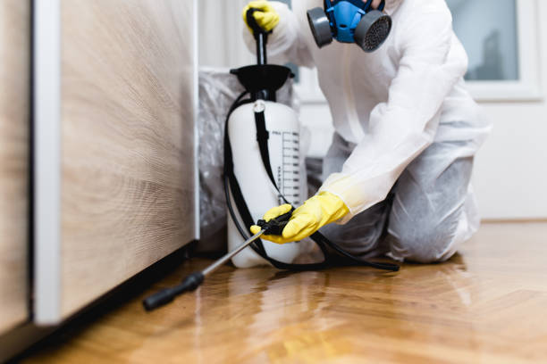 Best Pest Control Treatment  in Dickson, TN