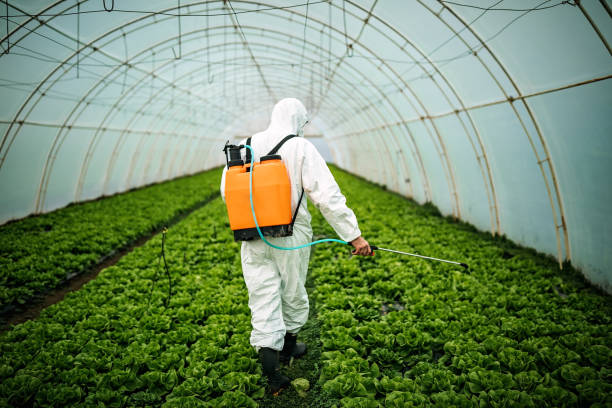 Reliable Dickson, TN Pest Control Solutions
