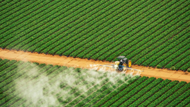 Best Affordable Exterminators  in Dickson, TN