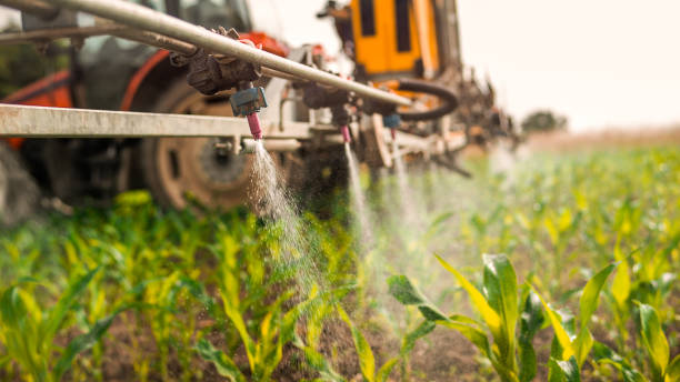 Best Commercial Pest Control Services  in Dickson, TN